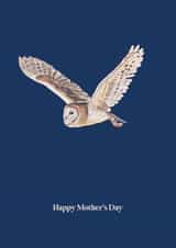 Mother's Day Barn Owl created by Zabby Allen