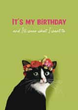 I'll Wear what I want Card | Fun Cat Birthday Card created by Robyn May Henry