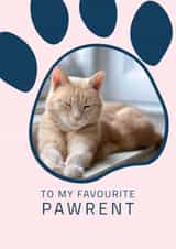 Personalised Mothers Day Photo Card created by thortful - pawrent cat Mothers Day Personalised Photo Card 22143