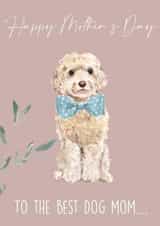 Happy Mother’s Day to the best dog mom! created by 25Seven