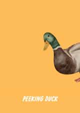 Funny Pun Birthday Card - Peeking Duck created by The Marmalade Cat