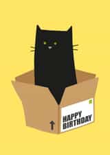 Cute birthday card for any cat lover! created by Holly Newth