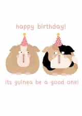 Birthday guinea pigs created by hnaillustration