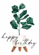Happy Birthday Fiddle Leaf Fig Card - Plant Birthday Card - Happy Birthday Plant created by Open Space Collective