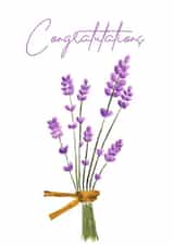 Cute Lavender congratulations card for celebrations created by Iesha Lena