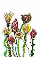 Cute watercolour flower card created by Iesha Lena