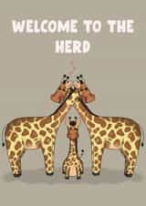 Welcome to the herd, giraffe themed new baby congratulations card created by Lauren Prizeman