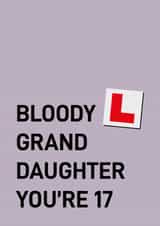 Cheeky 17th birthday card - grand daughter created by Quinton cards
