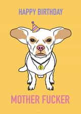 Funny adult humour Birthday card for Chihuahua lovers and owners. created by Wonder illustration
