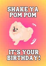 Shake Your Pom Pom - Pomeranian Dog - Cute Birthday Card for Dog Lover created by JZW Studios