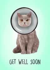 Cute Get well Card - cute cat in cone of shame created by Poppy & Mabel