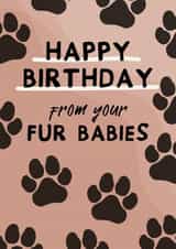 HAPPY BIRTHDAY FROM YOUR FUR BABIES created by From The Dog