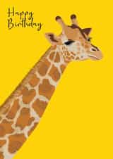 Modern Birthday Card - Giraffe created by Beverley Edge Illustrations