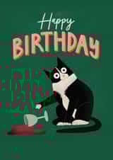 Funny Birthday Card - Naughty Cat created by AbiGoLucky