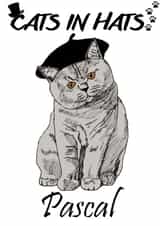 Cats In Hats Pascal Cute Pet Card created by Rory Kennedy