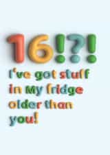 Funny 16th Birthday Card | Fridge created by Pottsy Prints