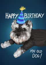 Funny Schnauzer Dog Birthday Card-Happy Birthday You Old Dog! created by C.F. Allen 