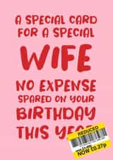 Cheeky Birthday Card for Wife 'No Expense Spared This Year' created by Absolutely Bananas Co.
