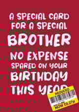 Cheeky Birthday Card for Brother 'No Expense Spared' created by Absolutely Bananas Co.