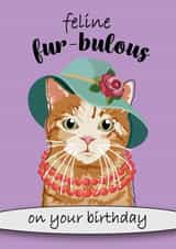 Feline Fur-bulous On Your Birthday created by Toff London