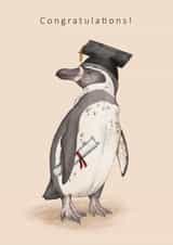 Illustrative Graduation Card - Penguin - Congratulations created by Dani Williams