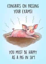 Funny Exams Card - Congrats - Happy As Pig in Shit created by Poppy & Mabel 