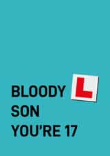 Cheeky Birthday Card - 17th - Son - Learner created by Quinton cards