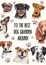 Cute Birthday Card For Grandma - Dogs - The Best Dog Grandma Around created by Ink Icons 