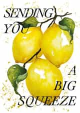 Classic thinking of you card with juicy lemons - 'Sending You A Big Squeeze' created by studio frewb