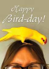 Cute Birthday Card For Bird Lovers - Happy Bird-day created by Numan Designs