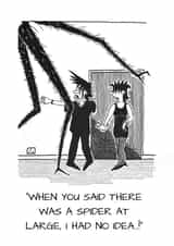 Any occasion - any recipient - spider at large. created by The Doldrums