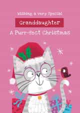 Funny and Cute Christmas Card - Purrfect Granddaughter created by Hannah Jayne Lewin