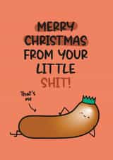 Rude Christmas Card - Little Shit created by Twisted Haggis