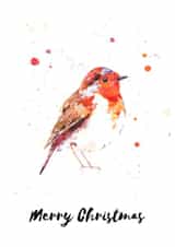 Pretty traditional Robin Christmas Card created by Meg Lillicrap Studio