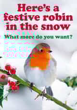 Cute and Cheeky Christmas card - Festive robin in the snow. created by Dean Morris Cards