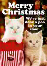 Cute Christmas Card - From the Cat - Poo in Shoe created by Dean Morris Cards