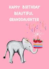 Cute Birthday Card - Granddaugher - Pink - Cake created by Naughty Nice