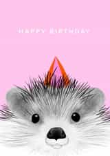 Hedgehog in a party hat created by CVMS