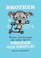 Brother Birthday Card - Funny Dog Scooter Old People created by Pink wink