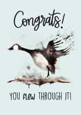 Funny Animal Congratulations card - You FLEW through it! created by The Chick & the Duck