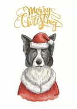 Border Collie Christmas Card - Sheepdog - Merry Christmas created by Kate Tea Illustration