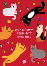 Cute funny Christmas card - Cats - Hope you have a purr-fect Christmas created by Paper Heart Designs