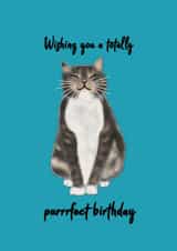 Cute cat birthday card, purrrfect for any cat or animal lover! created by Her Joyful Heart