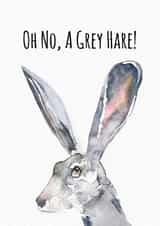A Grey Hare Birthday Card - Punny Age Joke created by Jo Scott Art