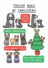 And Some Puppies In A Fir Tree! Funny Twelve Dogs of Christmas Card created by mungo and shoddy