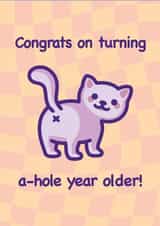 Funny & Cheeky Cat Birthday Card - A-hole Year Older! - Cat Butt Meme created by Mona Mauve