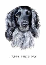 Charming Spaniel Birthday Card! created by Peter Ratcliffe