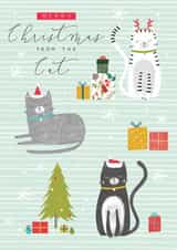 Pretty Christmas Card - From the Cat created by Laura Darrington Design Ltd.