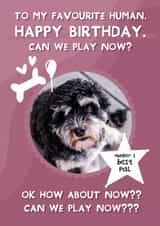 Personalised Birthday Photo Card created by From The Dog - Cute Birthday Photo Card - From the dog - Can we play now?