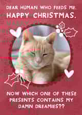Personalised Christmas Photo Card created by Two For Joy Illustration - Cute Christmas Photo Card - From the cat - Funny Dreamies Cat